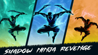 Shadow Ninja Revenge game cover