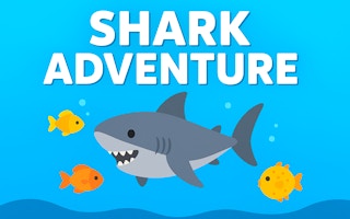 Shark Adventure