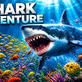 Shark Adventure