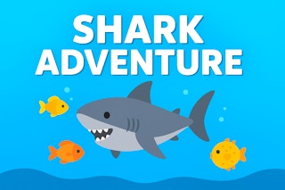 Shark Adventure