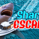 Shark Escape