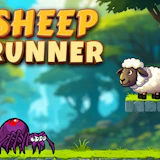 Sheep Runner
