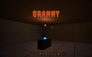 Silent Steps - Granny's Manor