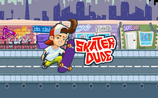 Skater Dude game cover