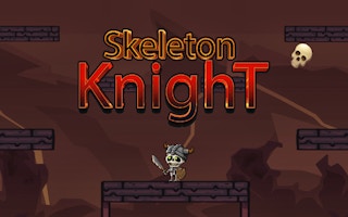 Skeleton Knight game cover