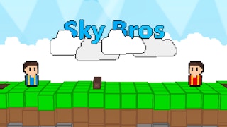 Sky Bros - 2 Players