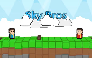 Sky Bros - 2 Players game cover