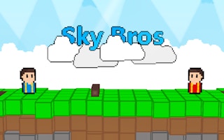 Sky Bros - 2 Players game cover