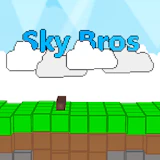 Sky Bros - 2 Players