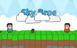 Sky Bros - 2 Players game cover