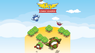 Sky Combat Squadron Battle game cover