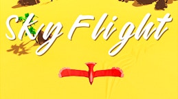 Sky Flight