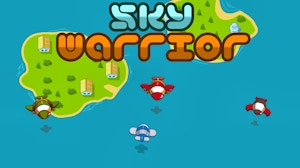 Image for Sky Warrior