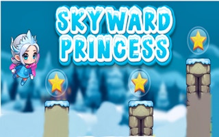 Skyward Princess Pro game cover