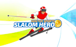 Slalom Hero