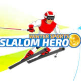 Slalom Hero