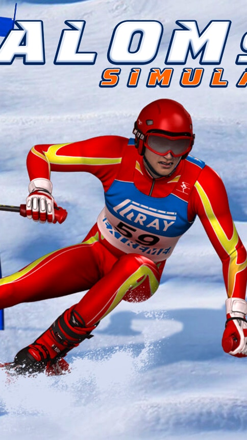 Slalom Ski Simulator