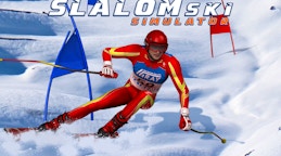 Slalom Ski Simulator
