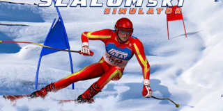 Slalom Ski Simulator thumbnail