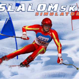Slalom Ski Simulator