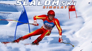 Image for Slalom Ski Simulator