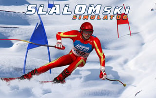 Slalom Ski Simulator game cover