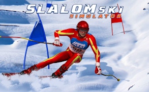 Slalom Ski Simulator