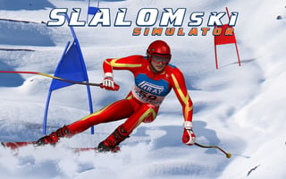 Slalom Ski Simulator