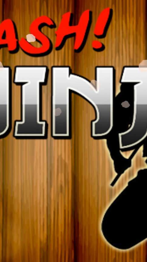Slash Ninja