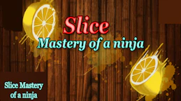 Slice Mastery of a Ninja