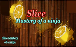 Slice Mastery of a Ninja