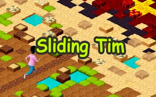 Sliding Tim - Way To Home game cover