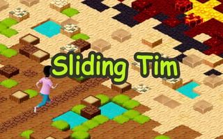 Sliding Tim - Way To Home game cover