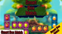 Smart Box Match