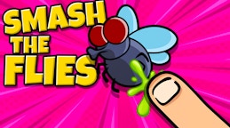 Smash the Flies