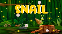 Snail Run