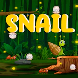 Snail Run