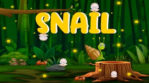 Image for Snail Run