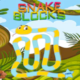Snake Blocks
