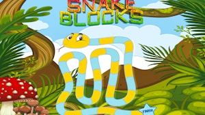 Image for Snake Blocks