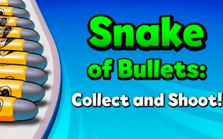 Snake Of Bullets: Collect And Shoot! game cover