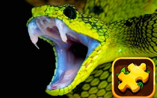 Snake Puzzle Challenge game cover