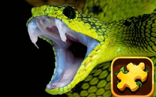 Snake Puzzle Challenge
