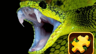 Snake Puzzle Challenge game cover