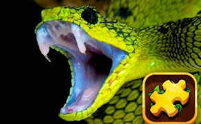 Snake Puzzle Challenge