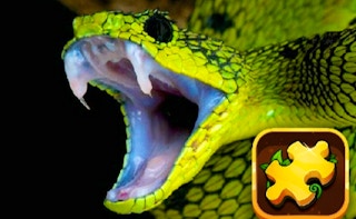 Snake Puzzle Challenge