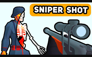 Sniper Shot: Bullet Time game cover