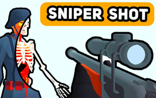 Sniper Shot: Bullet Time