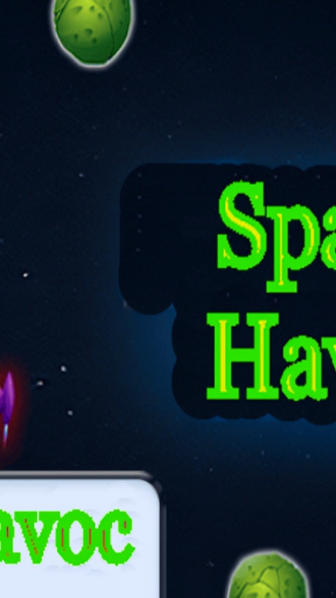 Space Havoc