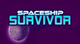 Space Ship Survivor